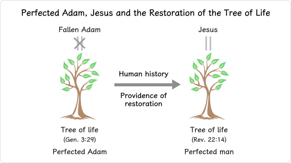 Human history is the history of the providence of restoration.