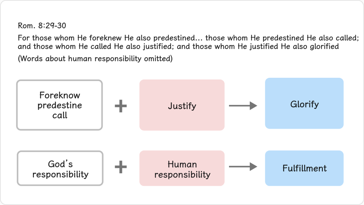 Rom. 8:29-30 says: "For those whom He foreknew He also predestined . . . those whom He predestined He also called; and those…