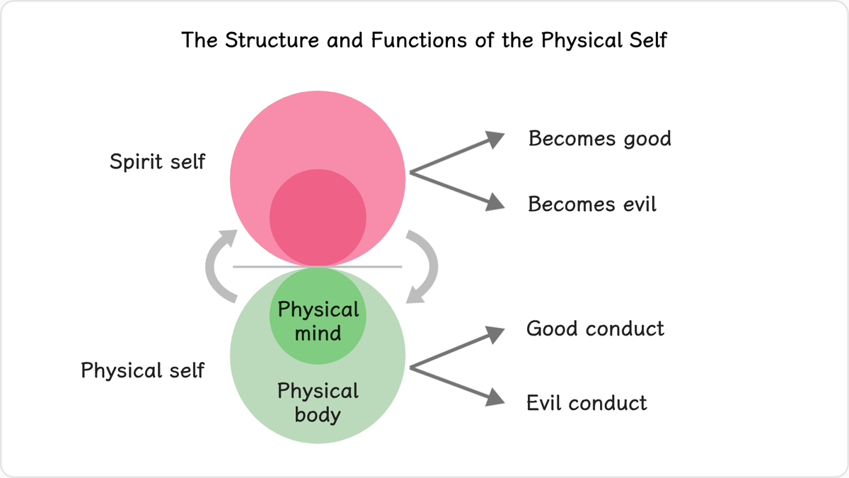 6.3.1 The Structure and Functions of the Physical Self