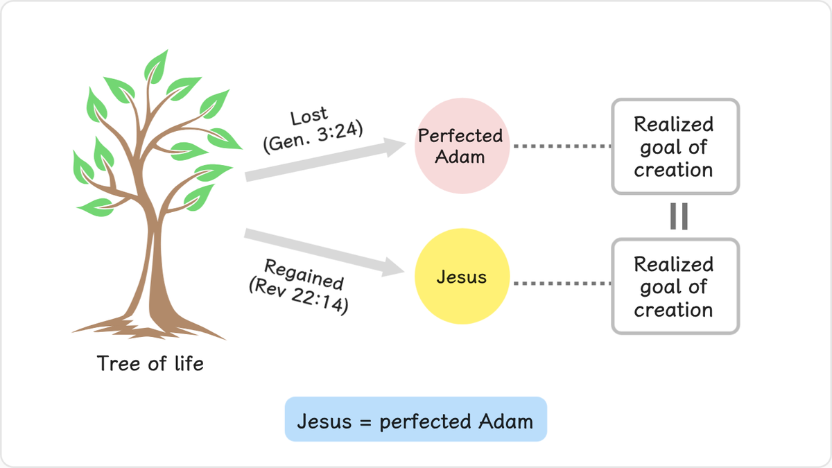 Adam, had he realized the ideal of perfection symbolized by the tree of life in the Garden of Eden,
