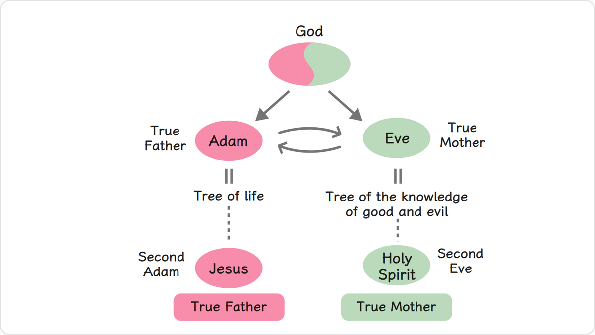 Had Adam as a man realized the ideal of creation and become the tree of life,