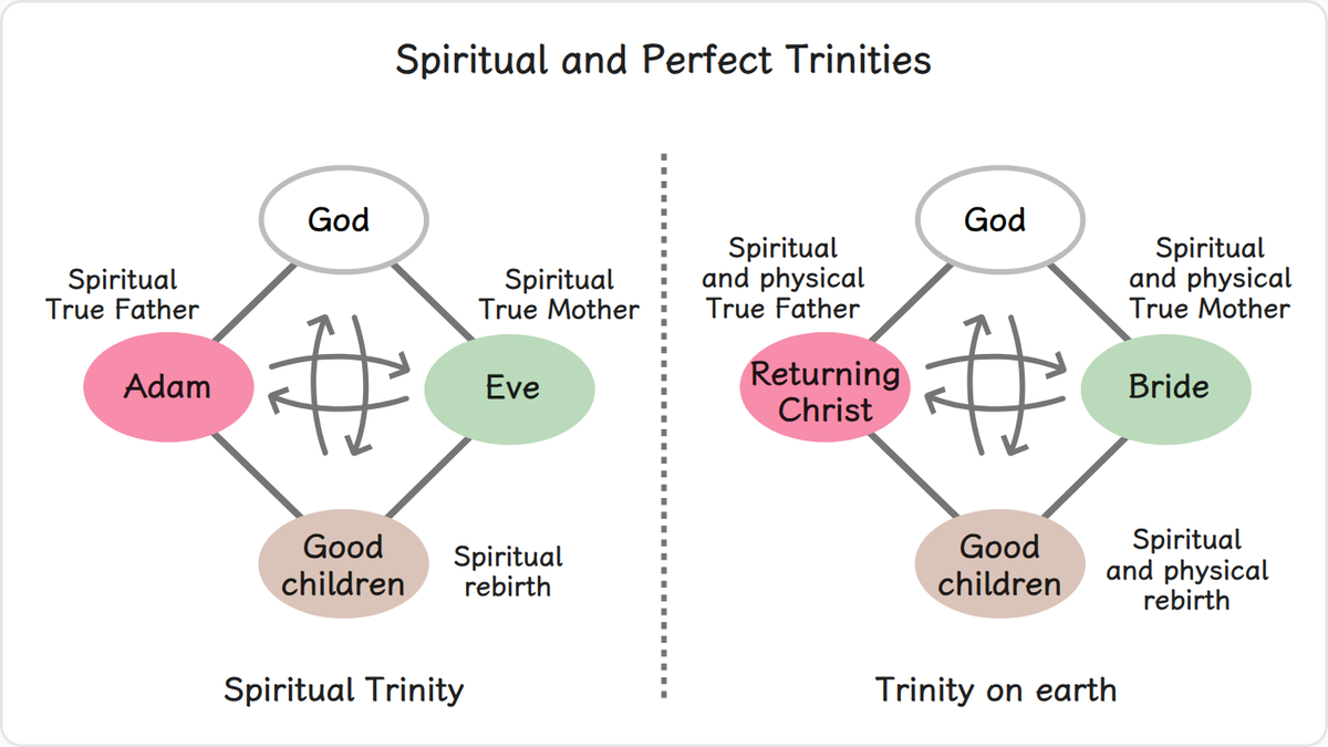 Jesus and the Holy Spirit in oneness with God could form only a spiritual trinity. They could fulfill only the mission of…