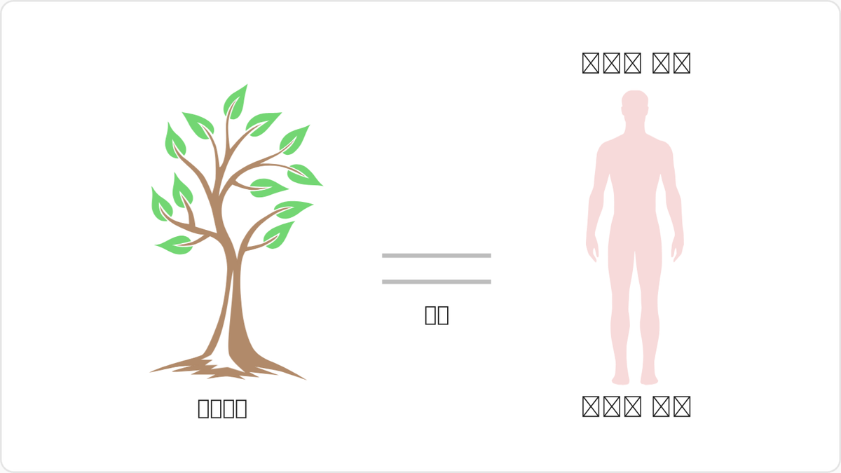 1. 생명나무