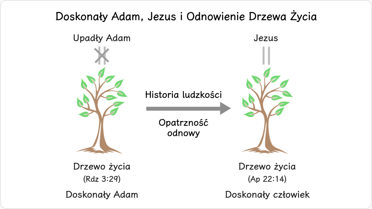 Historia ludzkości jest historią opatrznościowej odnowy,