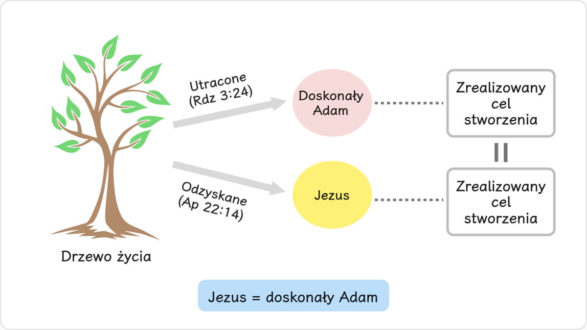 Gdyby Adam wypełnił ideał doskonałości symbolizowany przez drzewo życia,